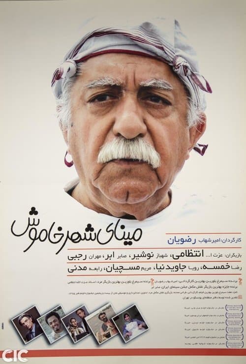 مینای شهر خاموش poster