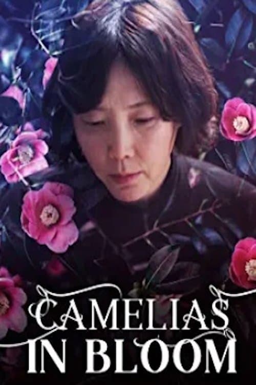 동백꽃이 피면 poster