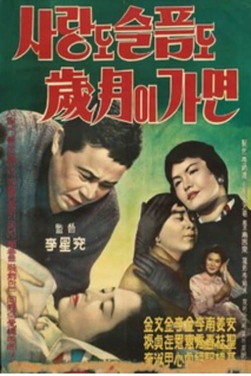 사랑도 슬픔도 세월이 가면 poster