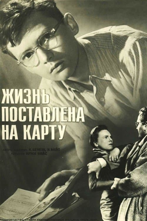 Hra o život poster