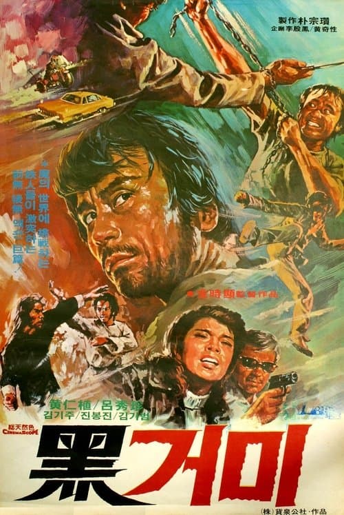 흑거미 poster