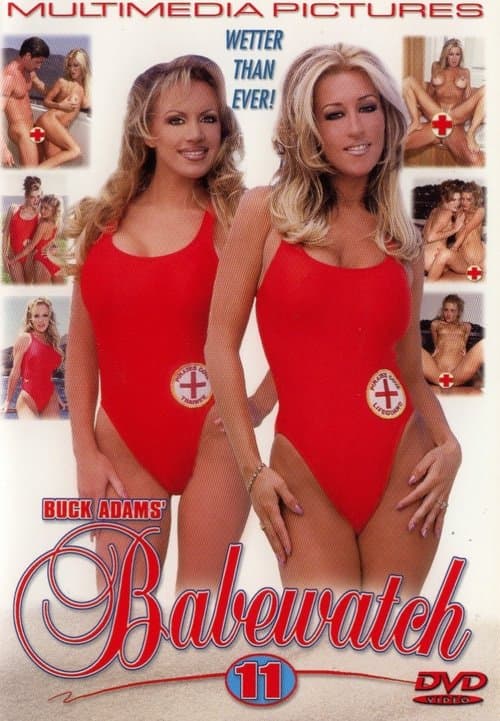 Babewatch - Heißer Strand poster