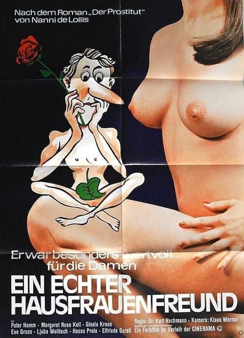 Ein echter Hausfrauenfreund poster