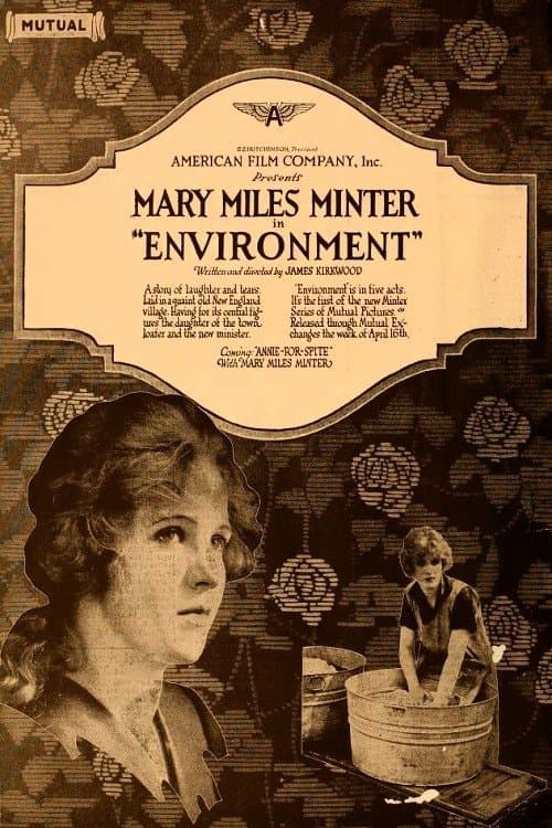 Environment poster