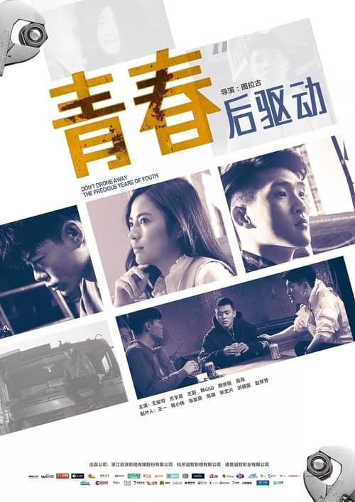 青春后驱动 poster