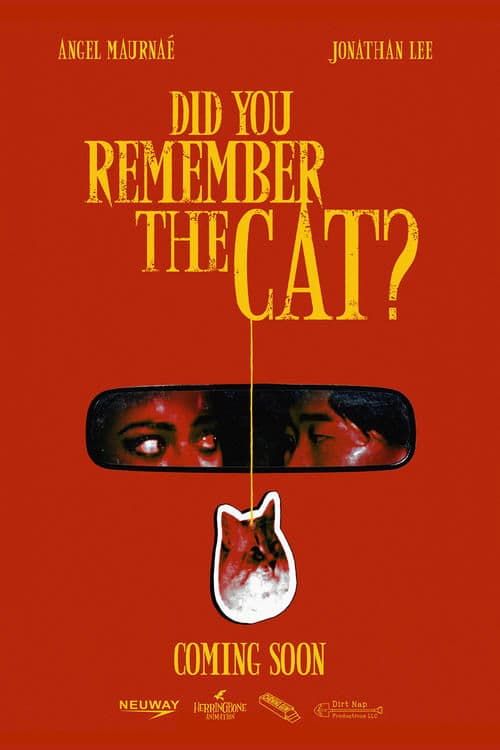 DID YOU REMEMBER THE CAT? poster