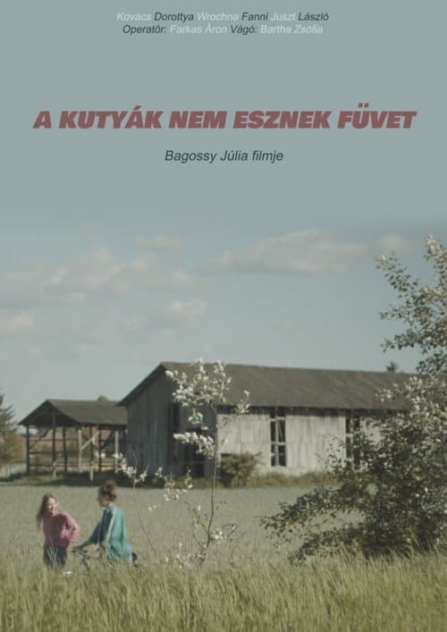 A kutyák nem esznek füvet poster