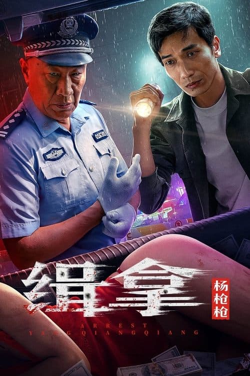 缉拿杨枪枪 poster