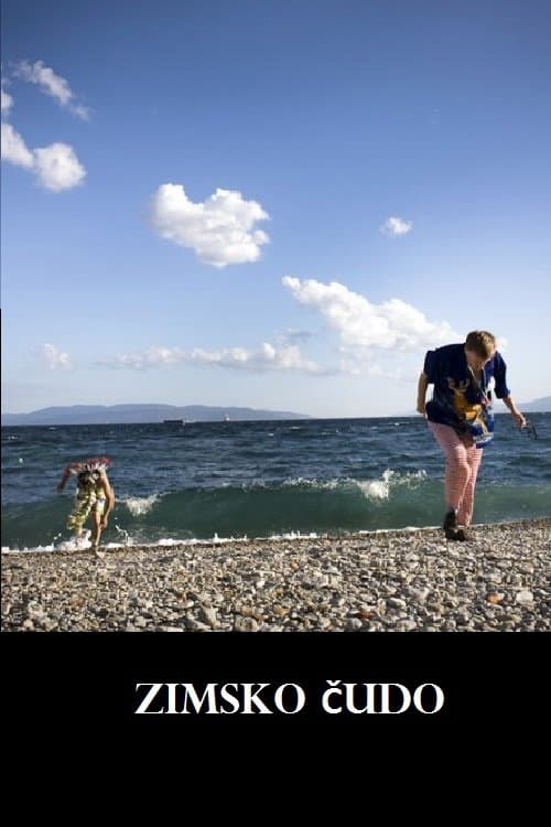 Zimsko čudo poster