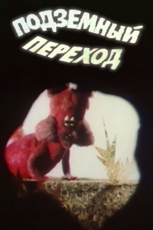 Подземный переход poster