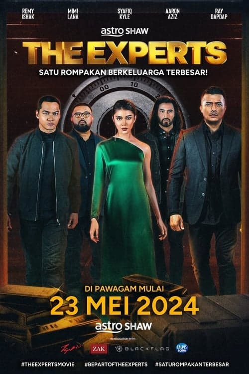 The Experts poster