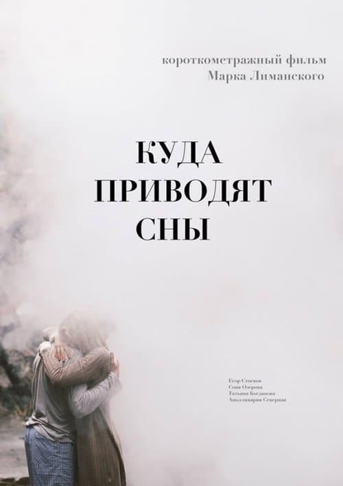 Куда приводят сны poster