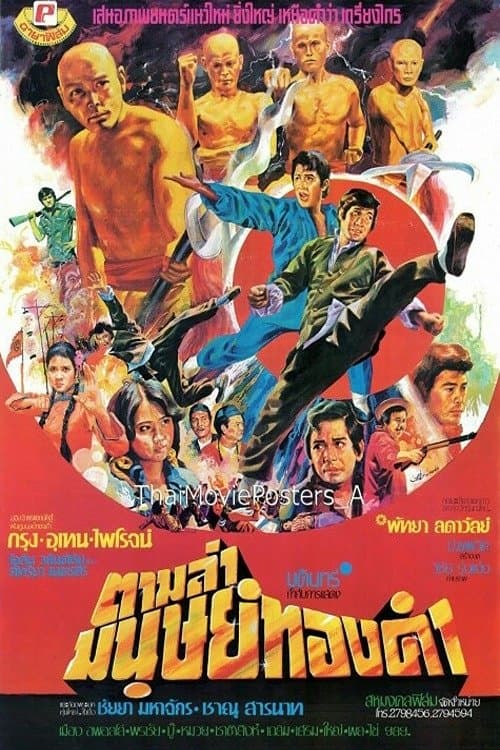 ตามล่ามนุษย์ทองคำ poster