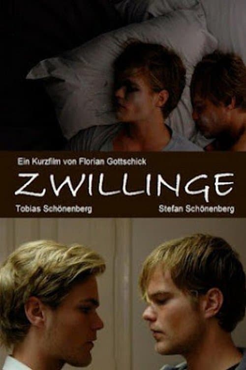 Zwillinge poster