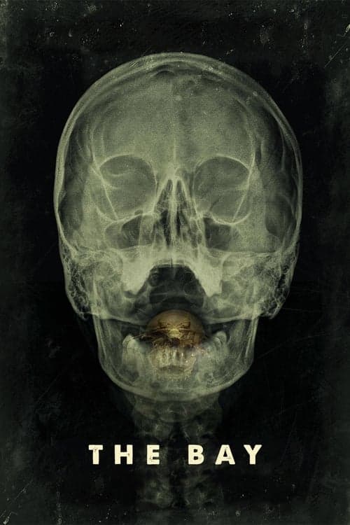 The Bay - Nach Angst kommt Panik poster