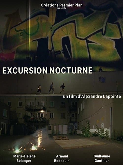 Excursion nocturne poster