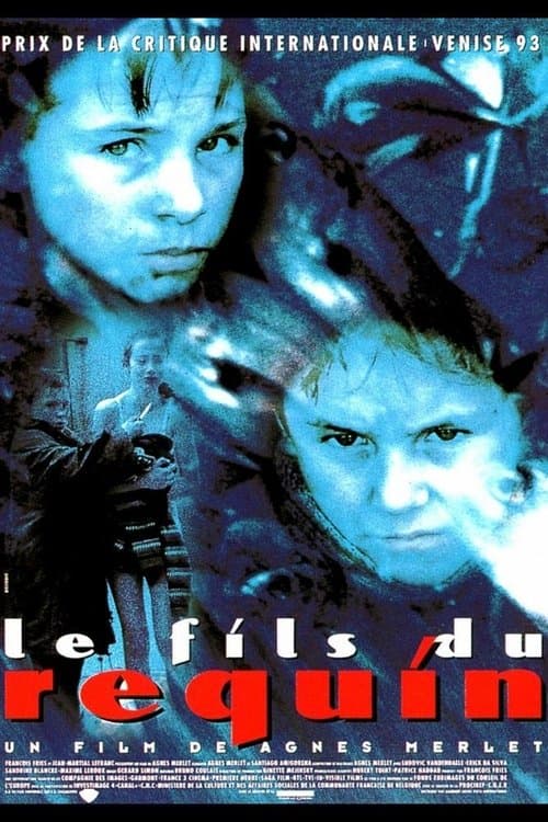 Le Fils du requin poster