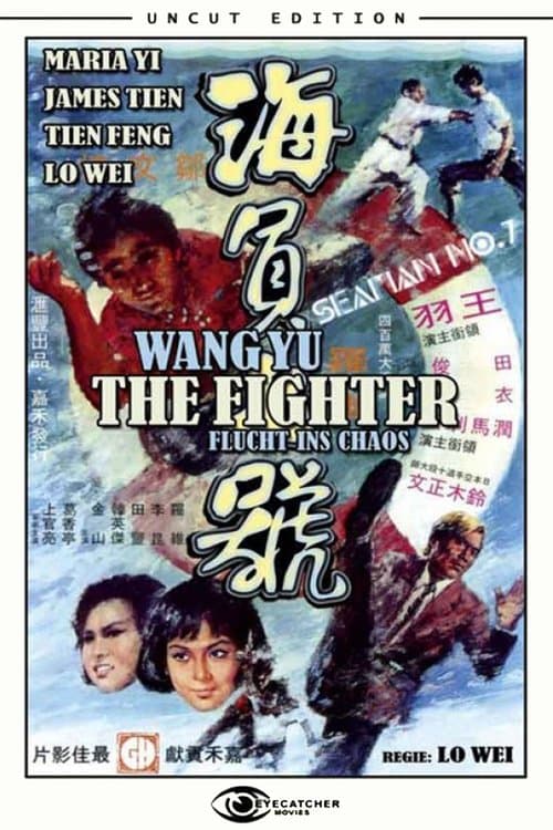 The Fighter - Flucht ins Chaos poster