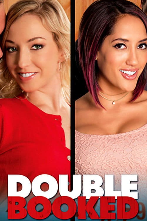 Double Booked poster