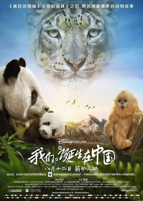 Born in China poster