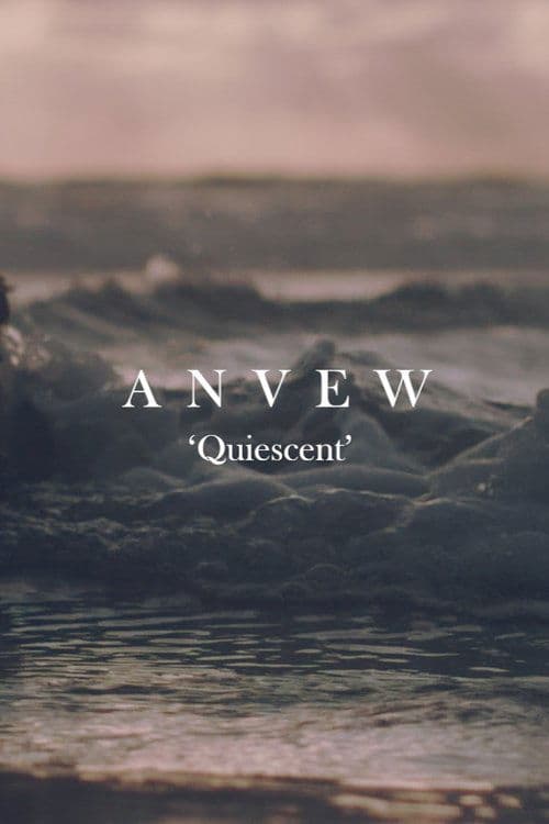 Anvew poster