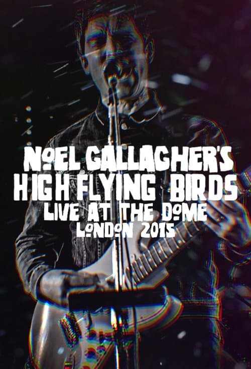 Noel Gallagher's High Flying Birds - Live at The Dome, London poster