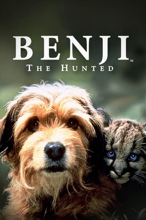 Benji, sein größtes Abenteuer poster