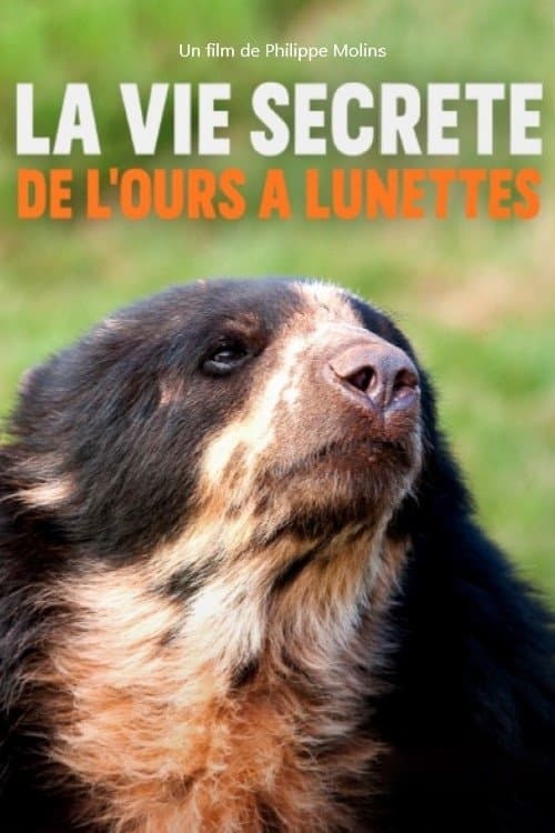 La vie secrète de l’ours à lunettes poster