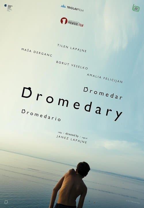 Dromedar poster
