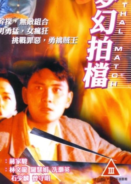 夢幻拍檔 poster
