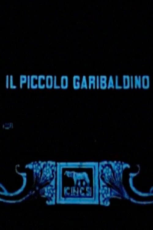 Il piccolo garibaldino poster