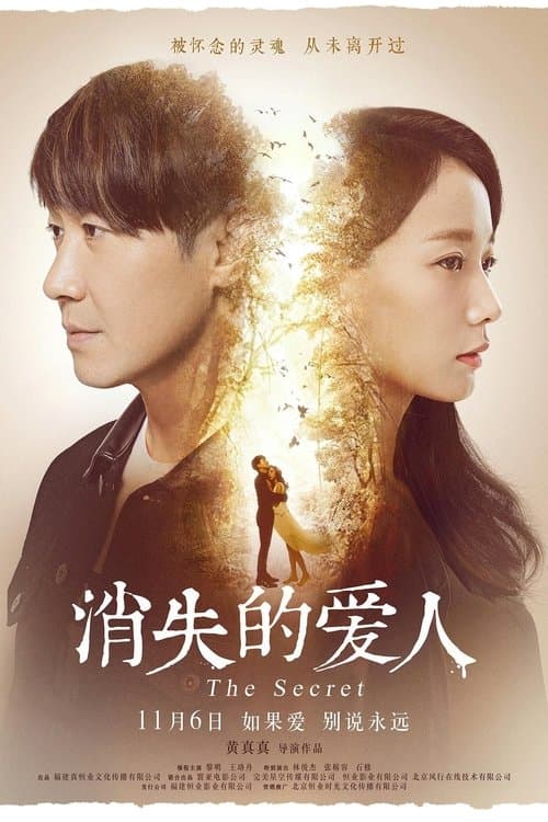 消失的愛人 poster