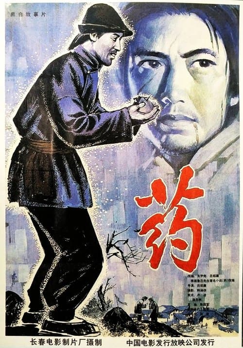 药 poster