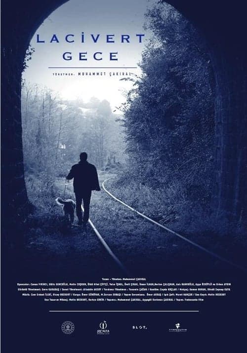 Lacivert Gece poster