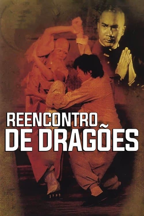佛掌羅漢拳 poster