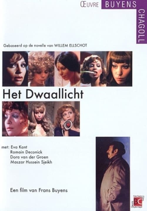 Het Dwaallicht poster