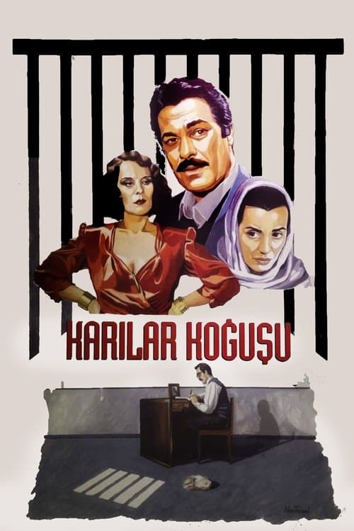 Karılar Koğuşu poster