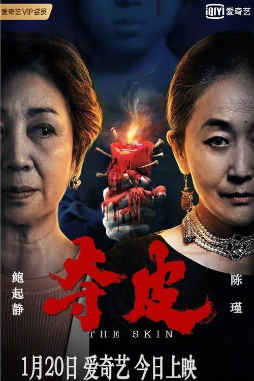 夺皮 poster