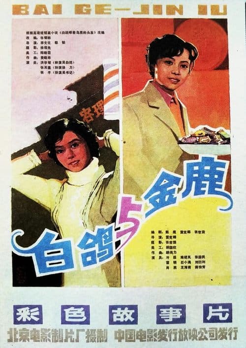 白鸽 poster