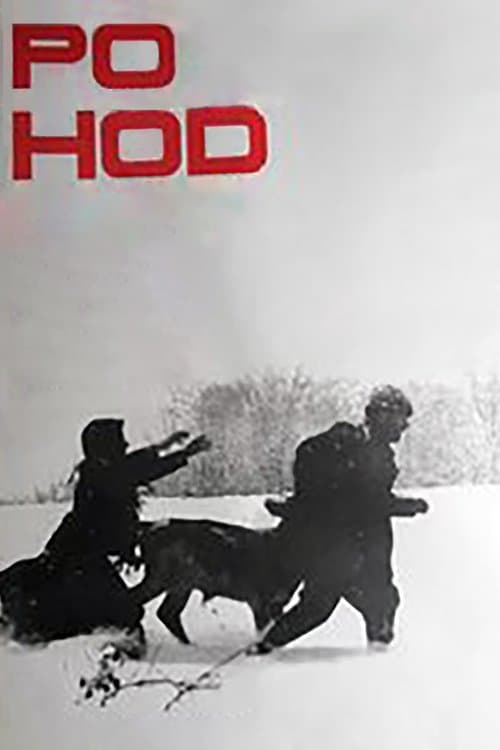Pohod poster