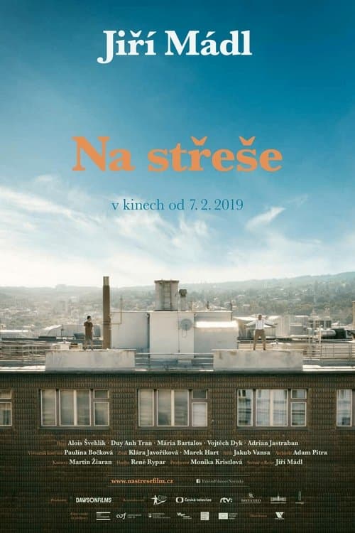 Na střeše poster
