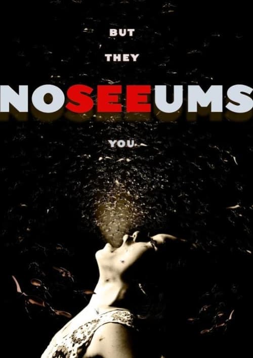 Noseeums poster