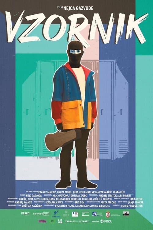 Vzornik poster