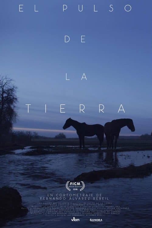 El pulso de la tierra poster