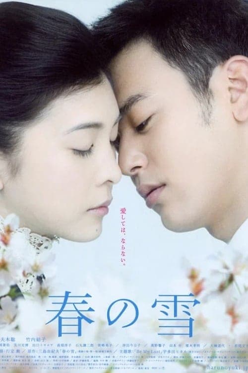 春の雪 poster