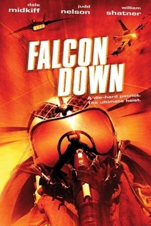 Falcon Down - Todesflug ins Eismeer poster