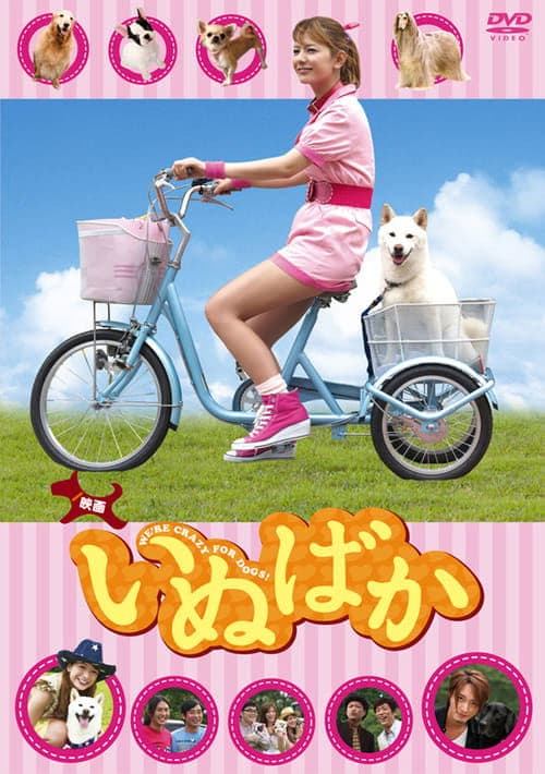 いぬばか poster