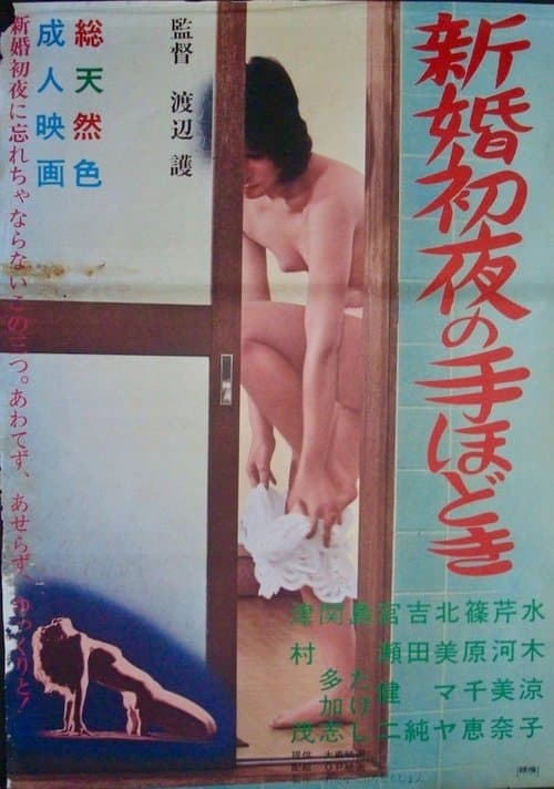 新婚初夜の手ほどき poster