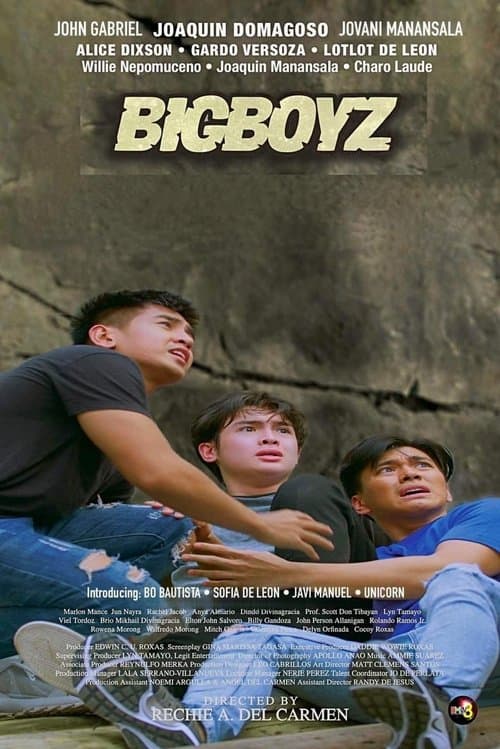 Bigboyz poster