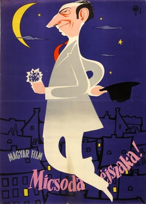 Micsoda éjszaka! poster